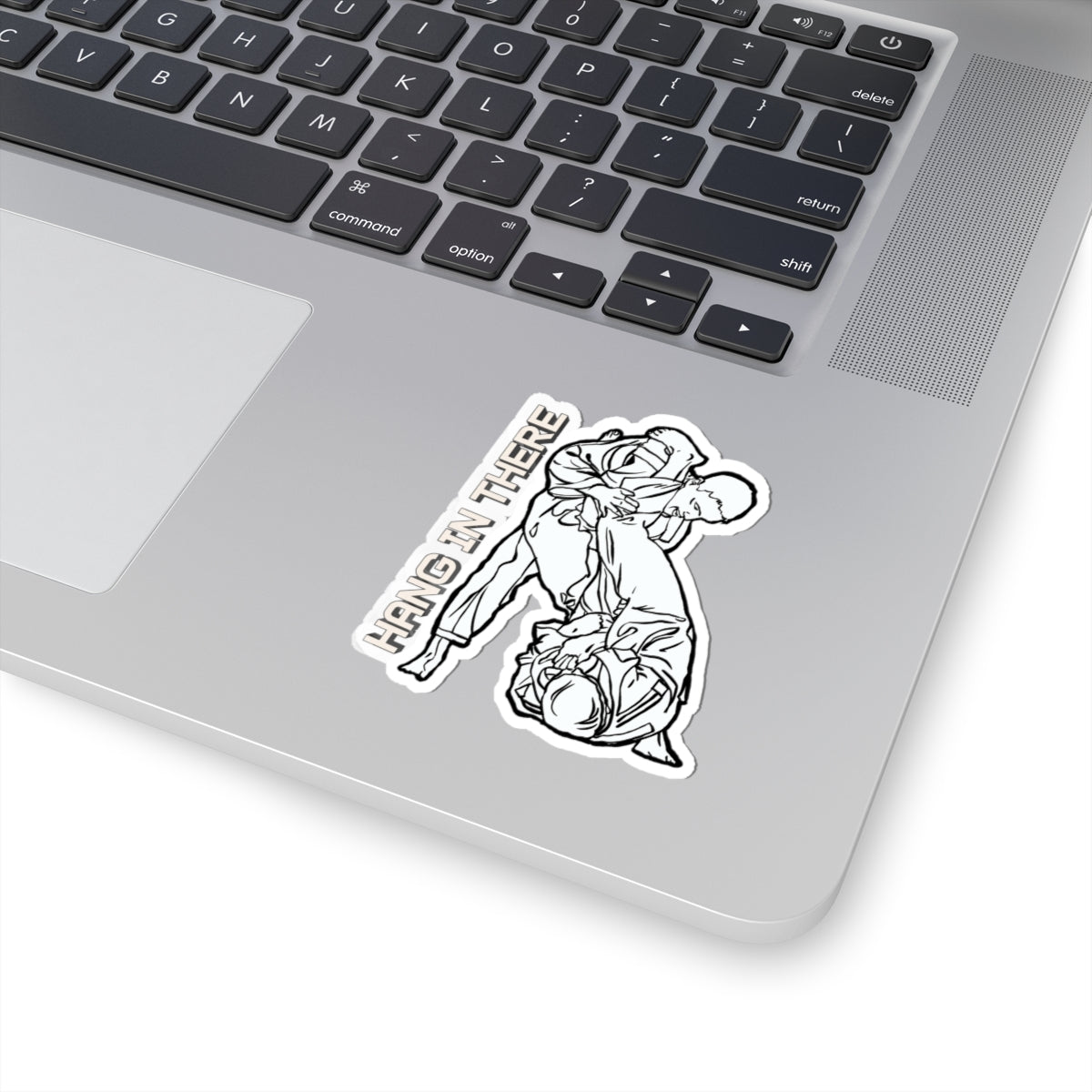 'Hang In There' Jiu-Jitsu Sticker — BJJ Grappling Decal